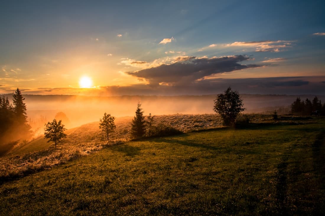Warmes Morgenlicht über einem ruhigen Feld